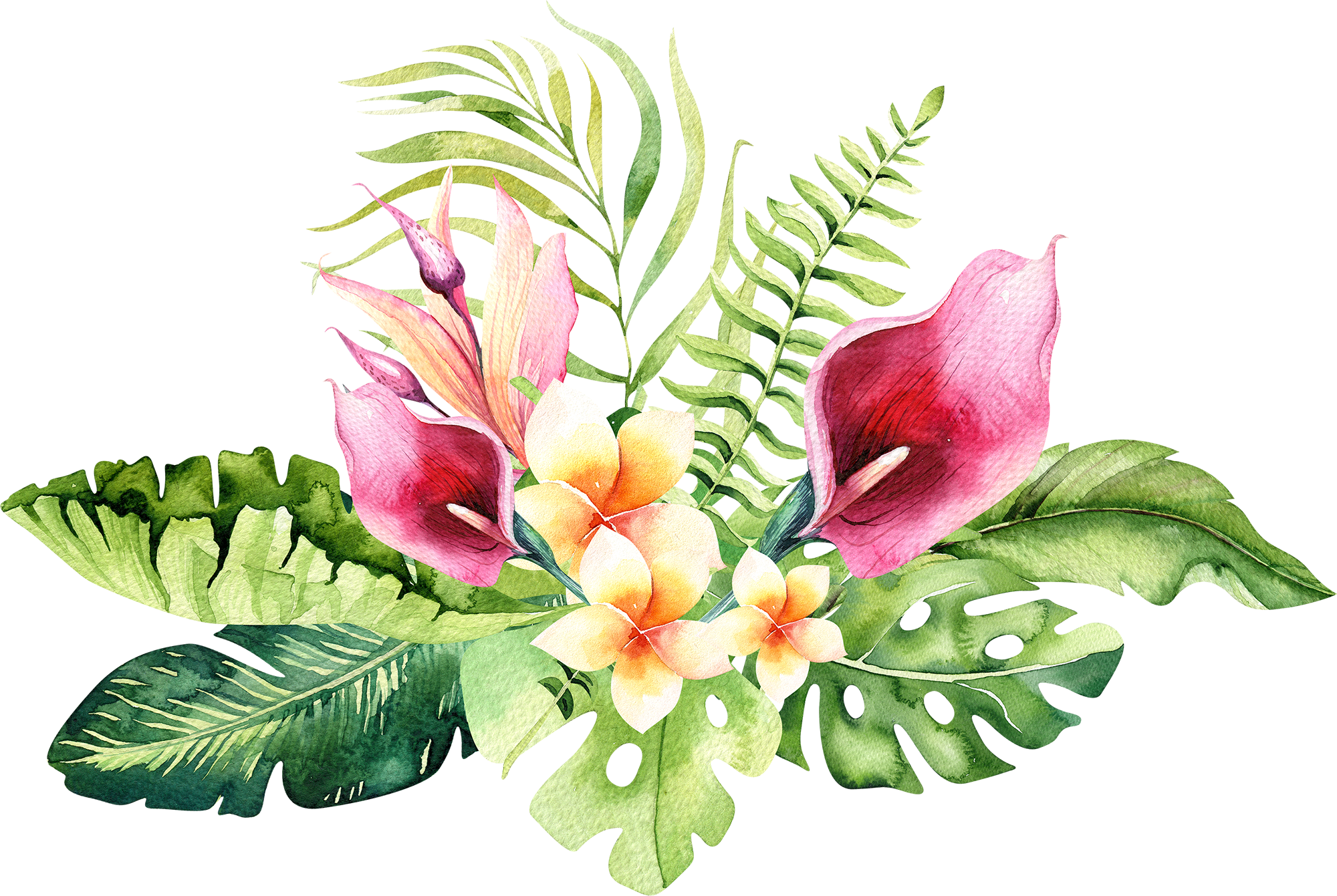 4 - Hand Drawn Watercolor Tropical Flower (2000x1341), Png Download