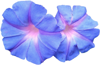 Vaporwave Png Pack - Blue Flowers Png Aesthetic (500x375), Png Download