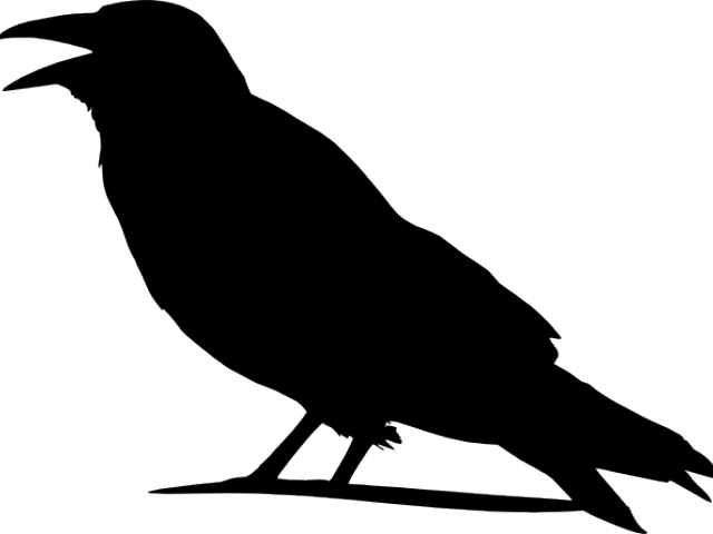 Crow Clipart Scary - Outline Images Of Crow (640x480), Png Download