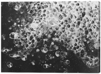 Bubbles Watercolor Black White Froth Canvas Print • - Watercolor Painting (400x400), Png Download