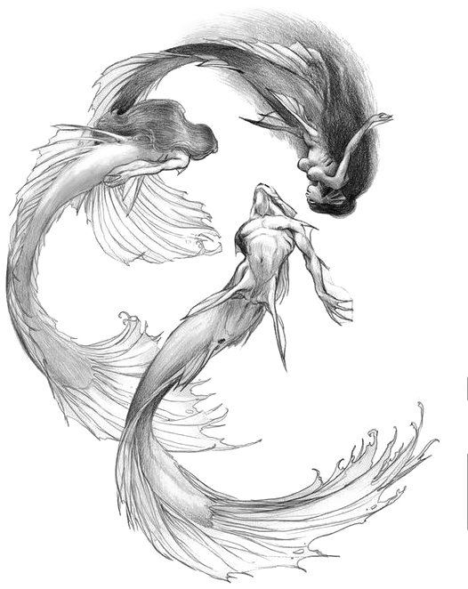 Siren Sketch Transprent Png - Siren Drawing (564x776), Png Download