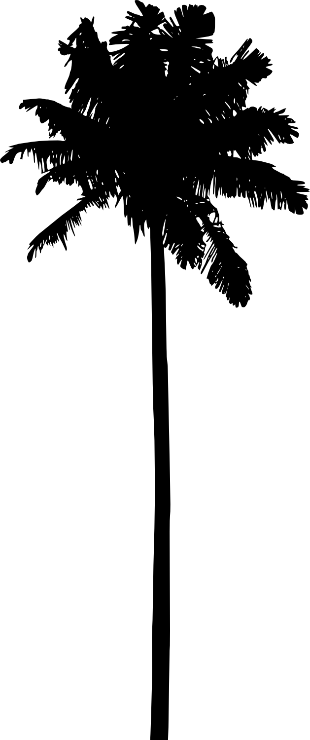 Free Png Palm Tree Silhouette Png Images Transparent - Palm Trees Silhouette Png (481x1146), Png Download