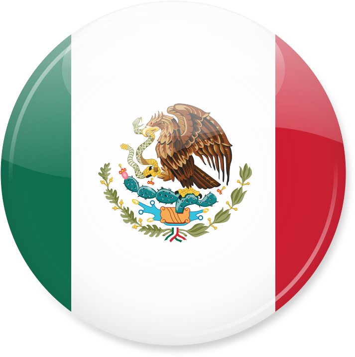 Mexico Flag Icon - Mexico Flag Icon Png (768x768), Png Download