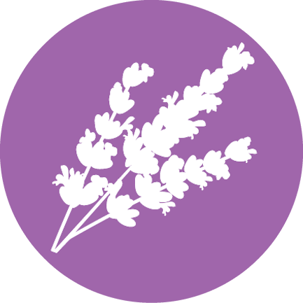 Lavender (433x433), Png Download