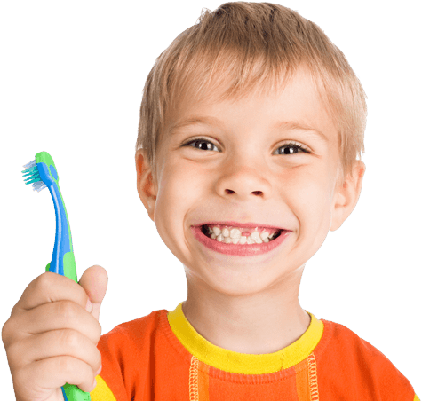 Children, Kids Png Image Without Background - Brush Your Teeth Every Day (474x480), Png Download