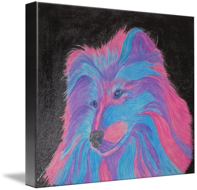 Watercolor - Shetland Sheepdog (650x630), Png Download