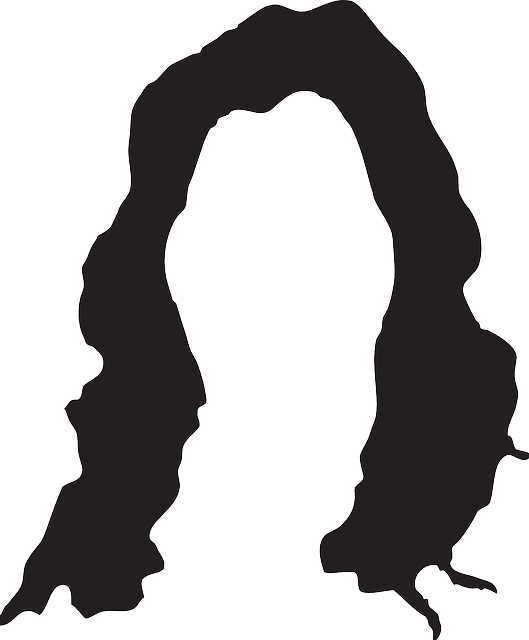 Head, Black, Silhouette, Style, Hair, Wig - Black Wig Clip Art (529x640), Png Download
