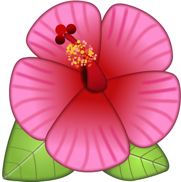 Hibiscus Flower Emoji - Flower Emoji Png (635x640), Png Download
