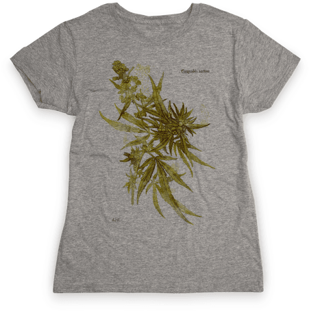 Cannabis Botanical Illustration Womens T-shirt - Came Out To Have A Good Time And I'm Honestly Feeling (484x484), Png Download