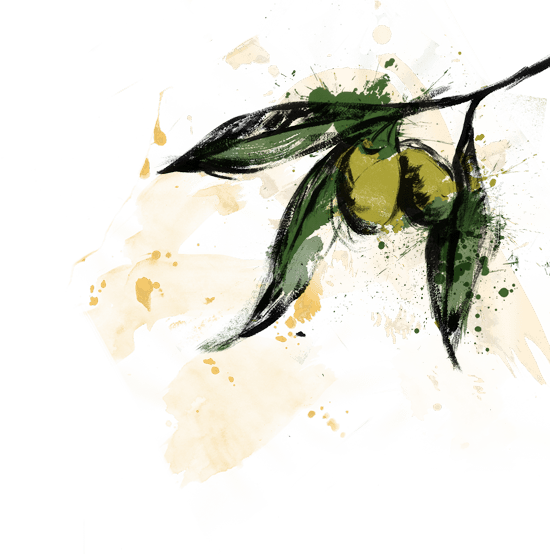 Olives - Portable Network Graphics (550x554), Png Download