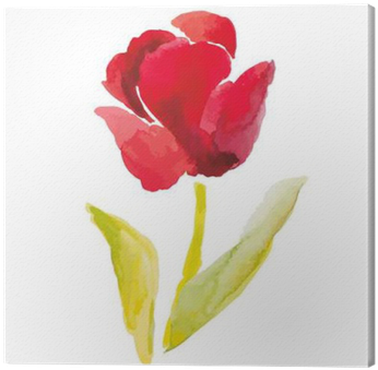 Red Tulip On The White Background - Watercolor Painting (400x400), Png Download