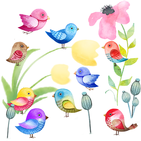 Click And Drag To Re-position The Image, If Desired - Posterazzi Chirping 3 Poster Print By Kimberly Allen (600x600), Png Download