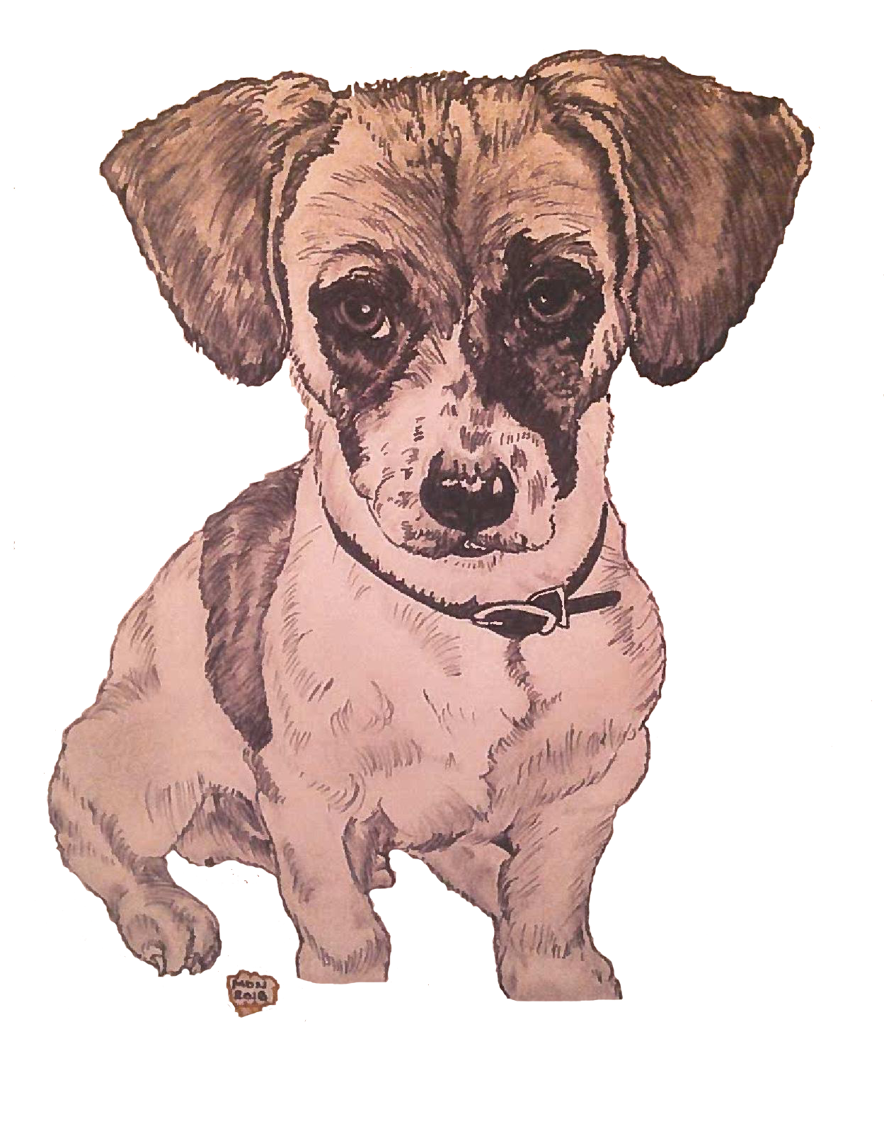 Raider The Puppy - Dog (1275x1650), Png Download