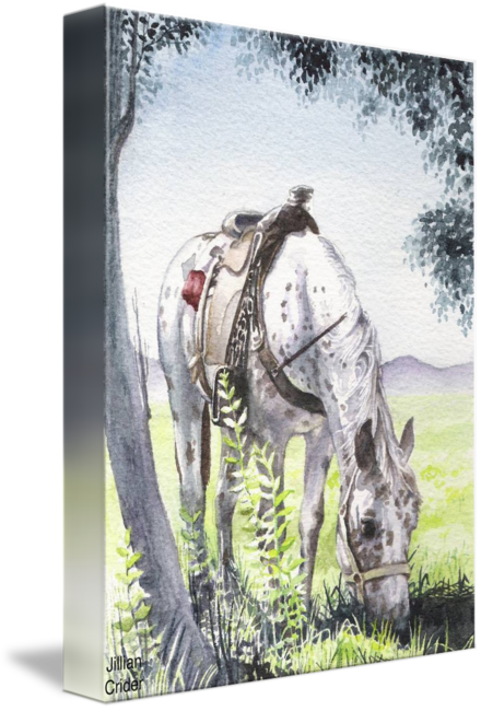 "appaloosa Rogue" Watercolor Painting By Jillian Crider - Grazing (440x650), Png Download