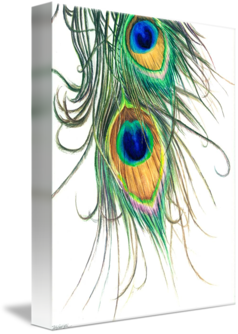 "peacock Feathers" By Kelly Eddington, St - Peacock Feather Painting (464x650), Png Download