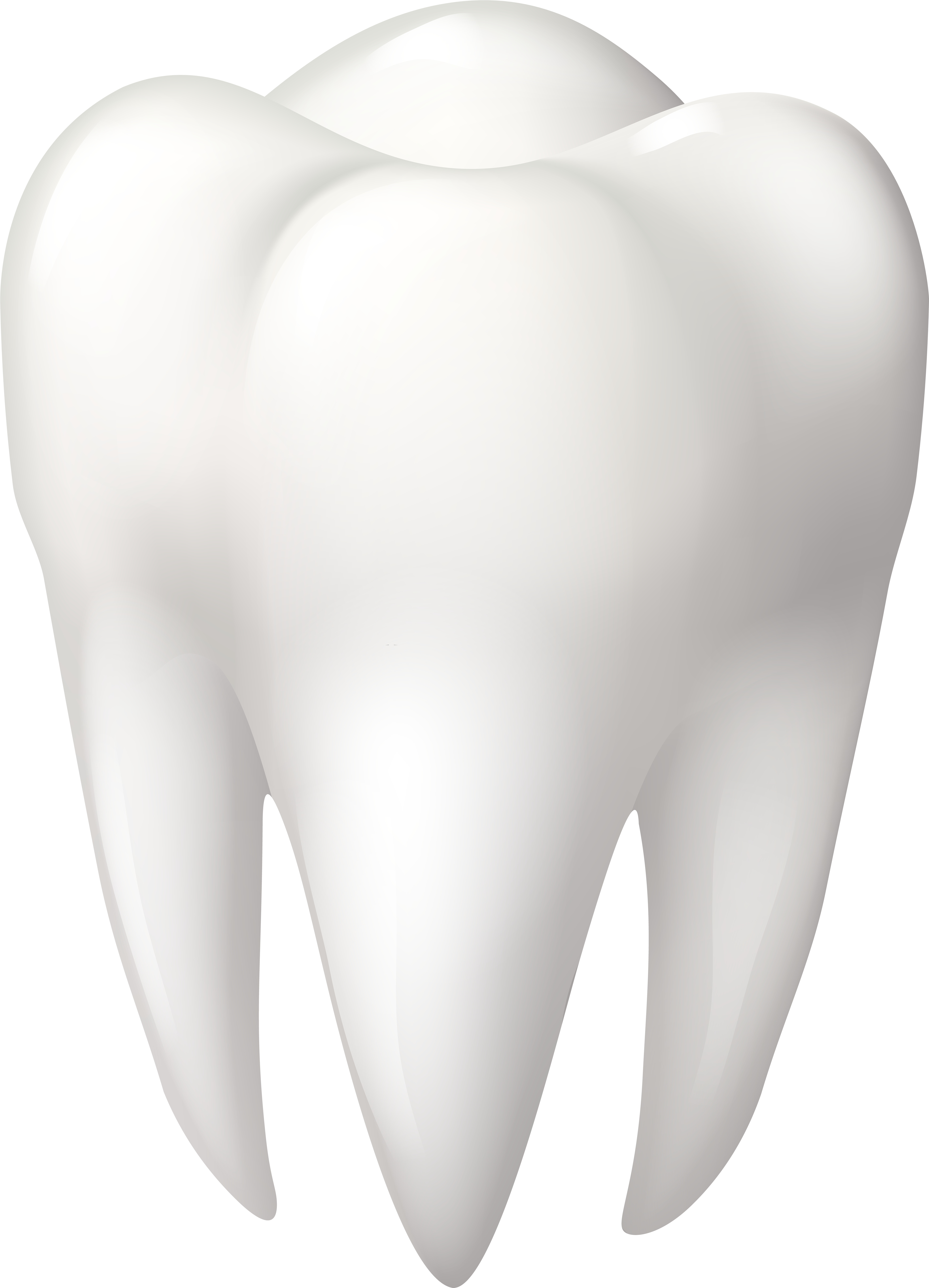 Tooth Molar Png Clip Art - Molar Clipart (5762x8000), Png Download