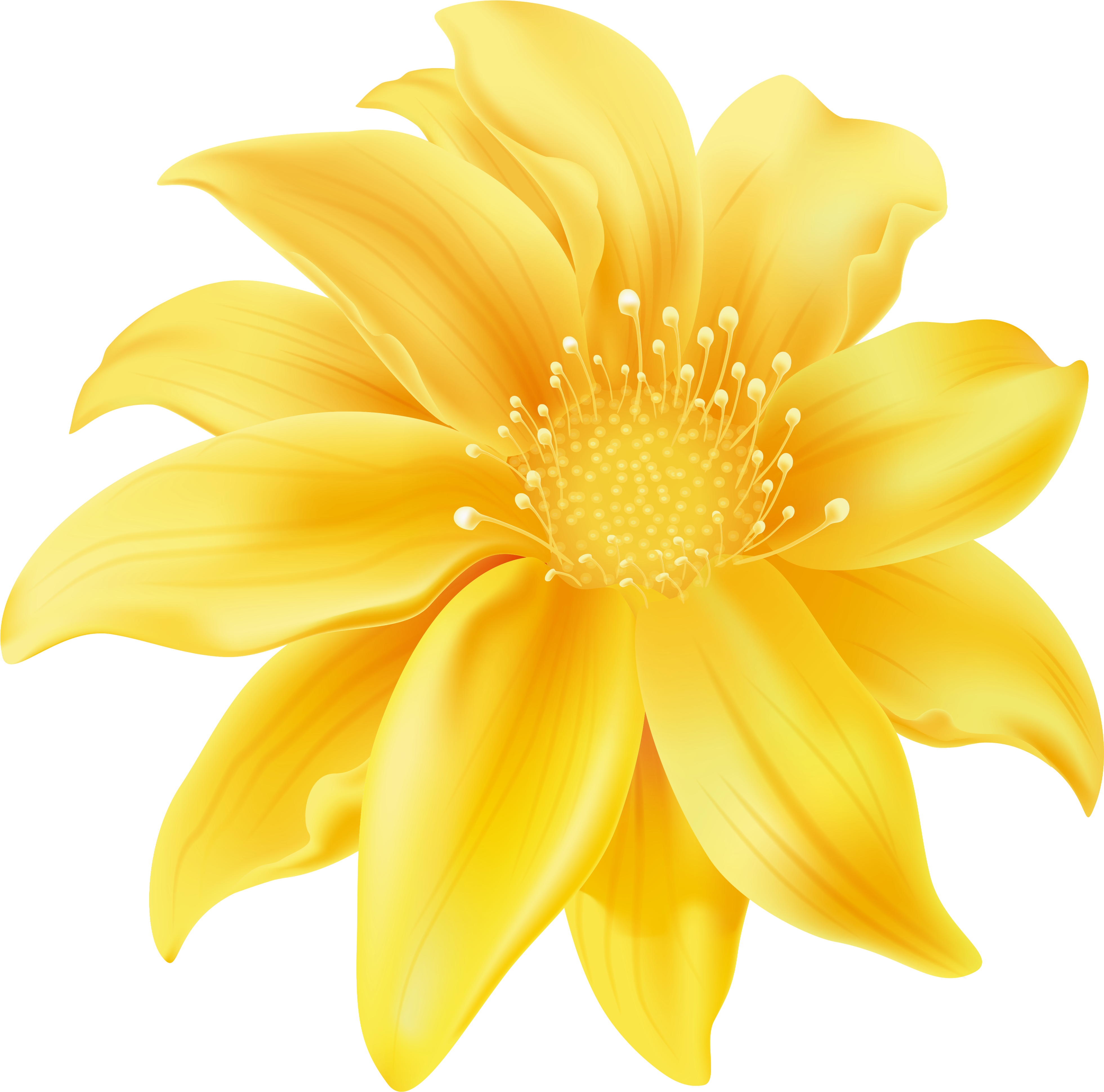 Yellow Flower Png Clip Art - Yellowflower Clip Art (4000x3930), Png Download