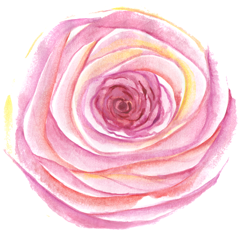 This Graphics Is Egg Yolk Transparent Decorative About - Garden Roses (1024x974), Png Download