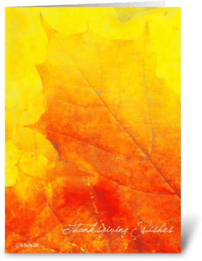 Fall Leaf Thanksgiving Card Greeting Card - Greeting Card (350x396), Png Download