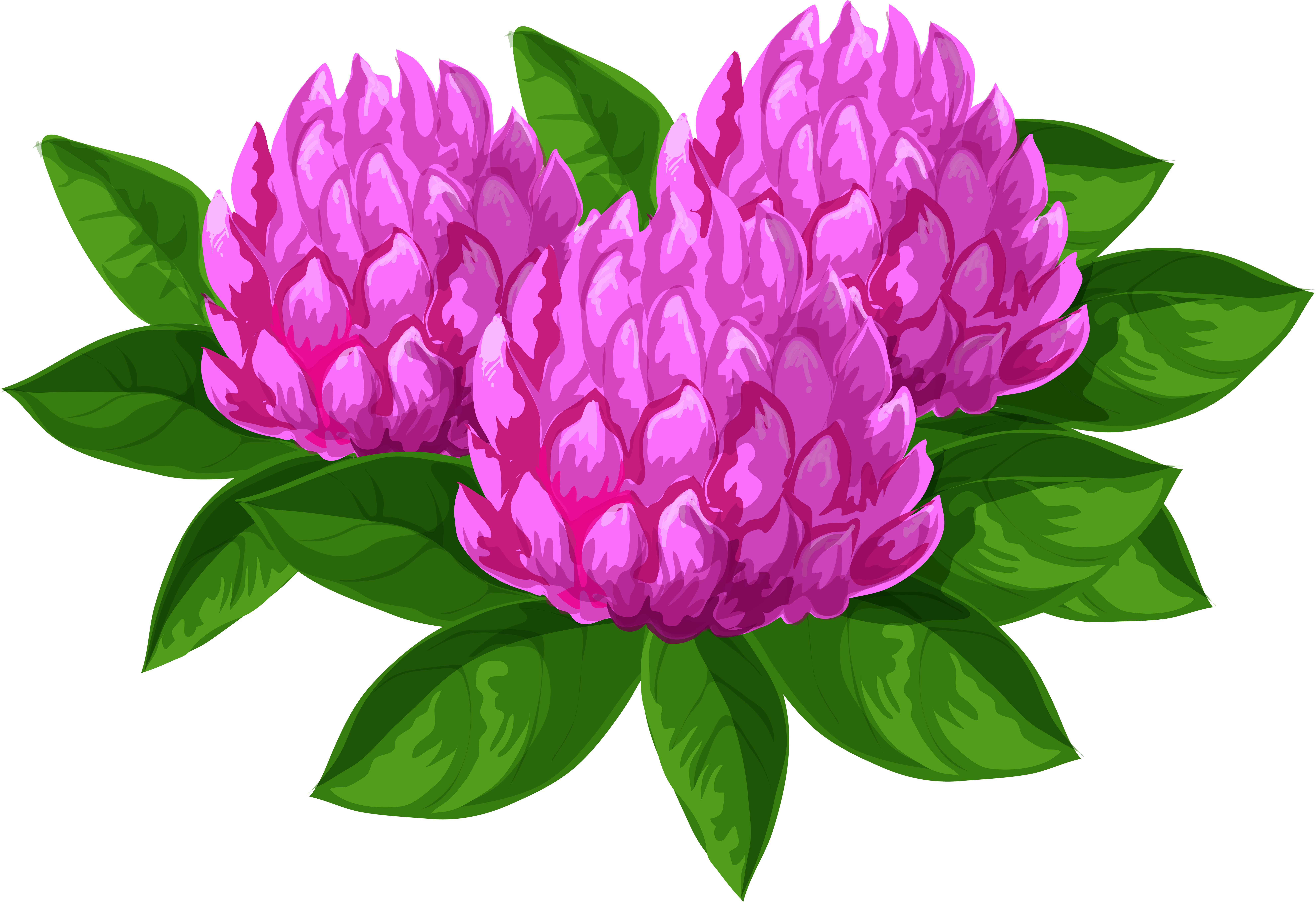 Vector Royalty Free Library Flowers Png Clip Art Image (8000x5484), Png Download