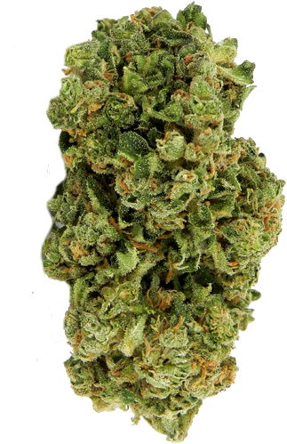 Biomeds - Women Think Men Want What Men Really Want Weed (350x570), Png Download