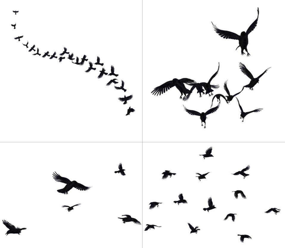 Crows In Flight Png Stock By Roy - Group Of Crows Png (957x835), Png Download