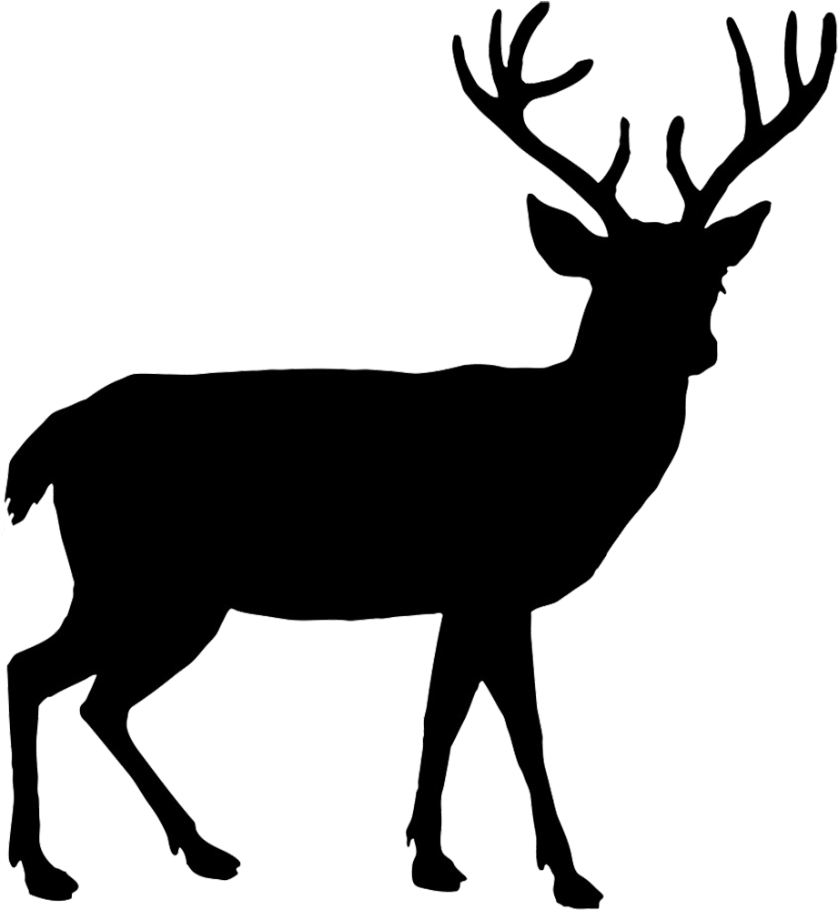 Deer Silhouette Png - Deer Silhouette (1004x1049), Png Download