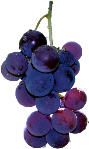 Watercolor Painting (406x500), Png Download