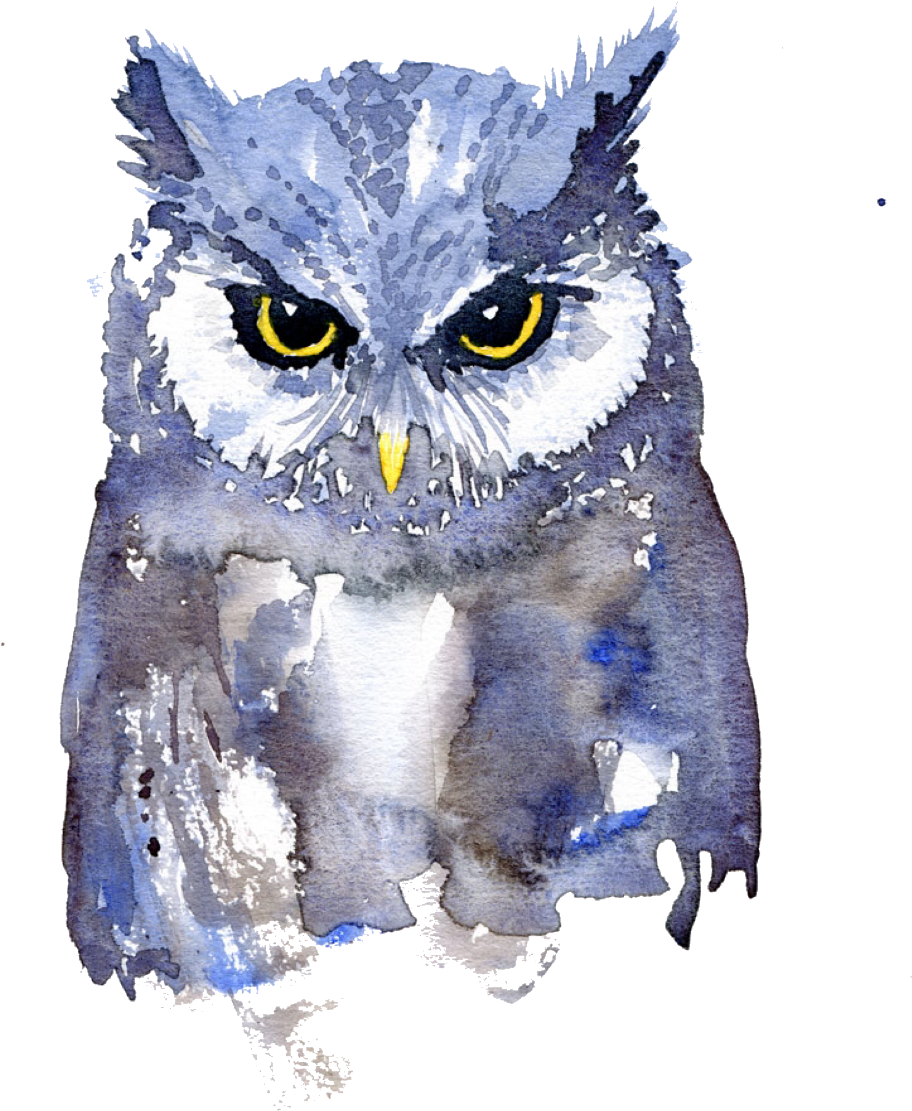 Report Abuse - Watercolor Owl Art (1024x1261), Png Download