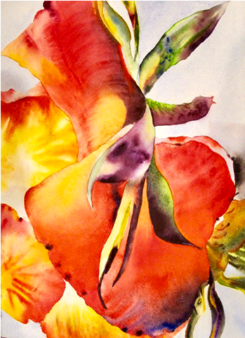 Leaves Of Strawberry (640x480), Png Download