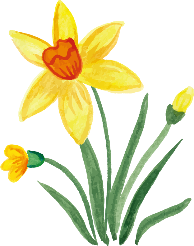 Clipart Library Download Watercolour Flowers Painting - Hand Painting Flowers (800x800), Png Download