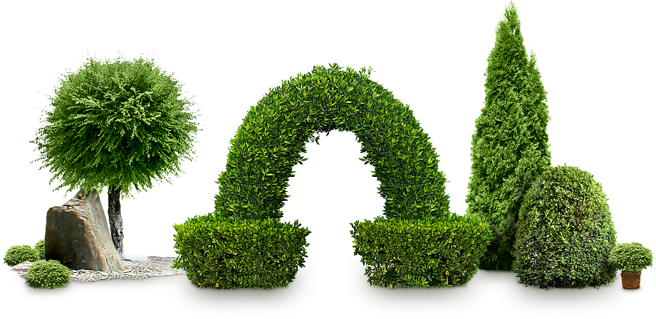 Bushes Png Image Without Background (921x449), Png Download
