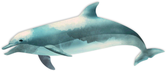 Download Png Image Report - Ocean Fish Png (575x247), Png Download