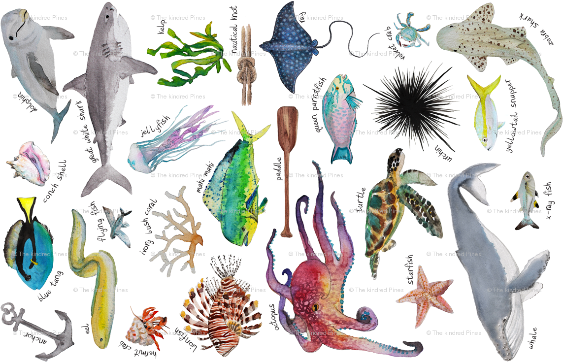 Under The Sea Alphabet Wallpaper - Sea (1150x734), Png Download