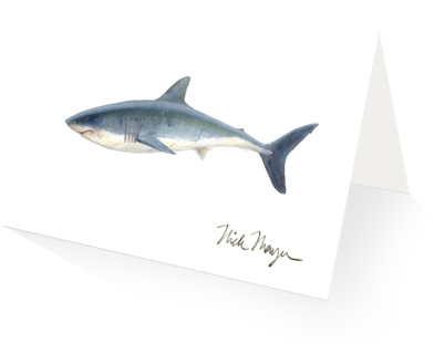 Great White Shark (480x387), Png Download