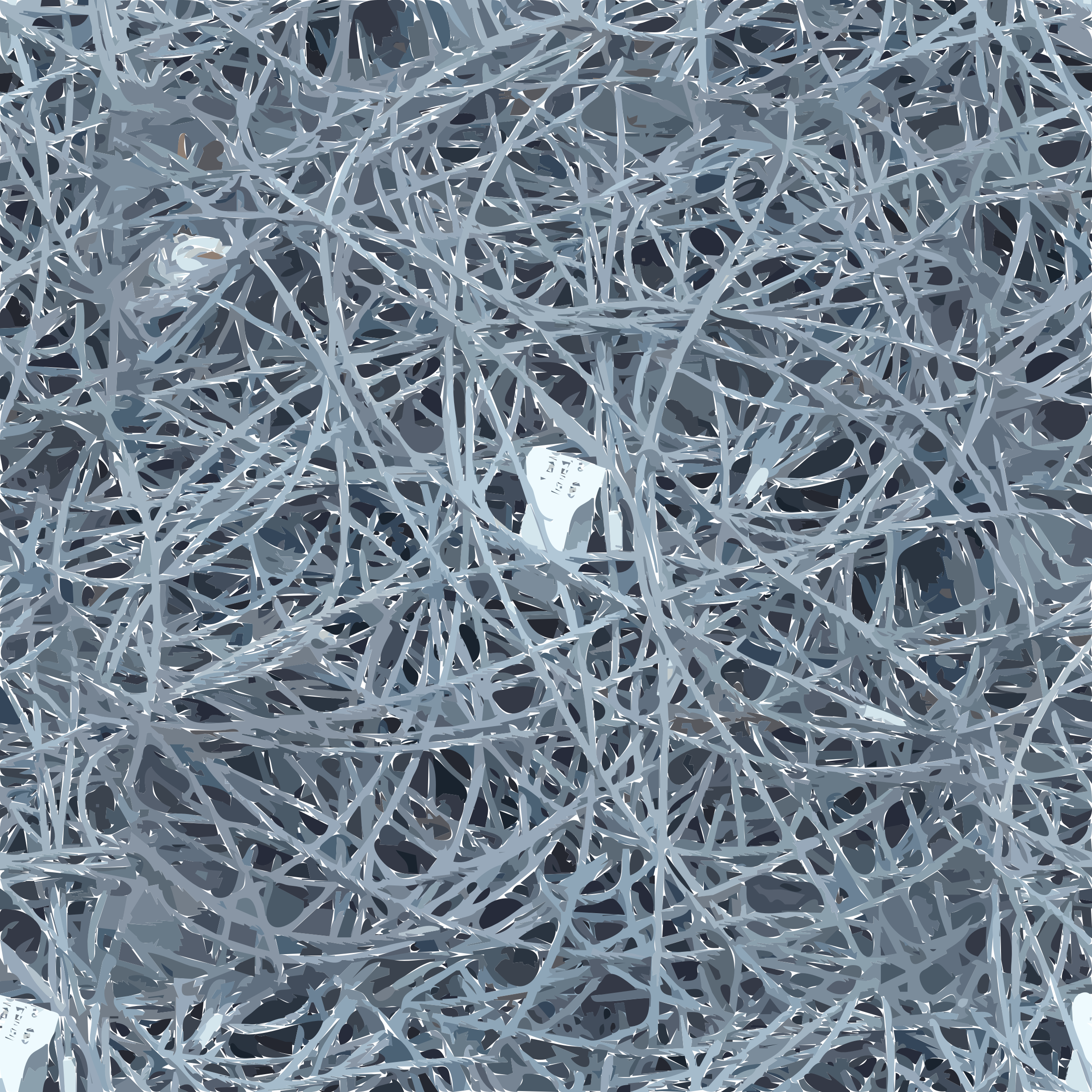 Big Image - Detritus Transparent (2400x2400), Png Download