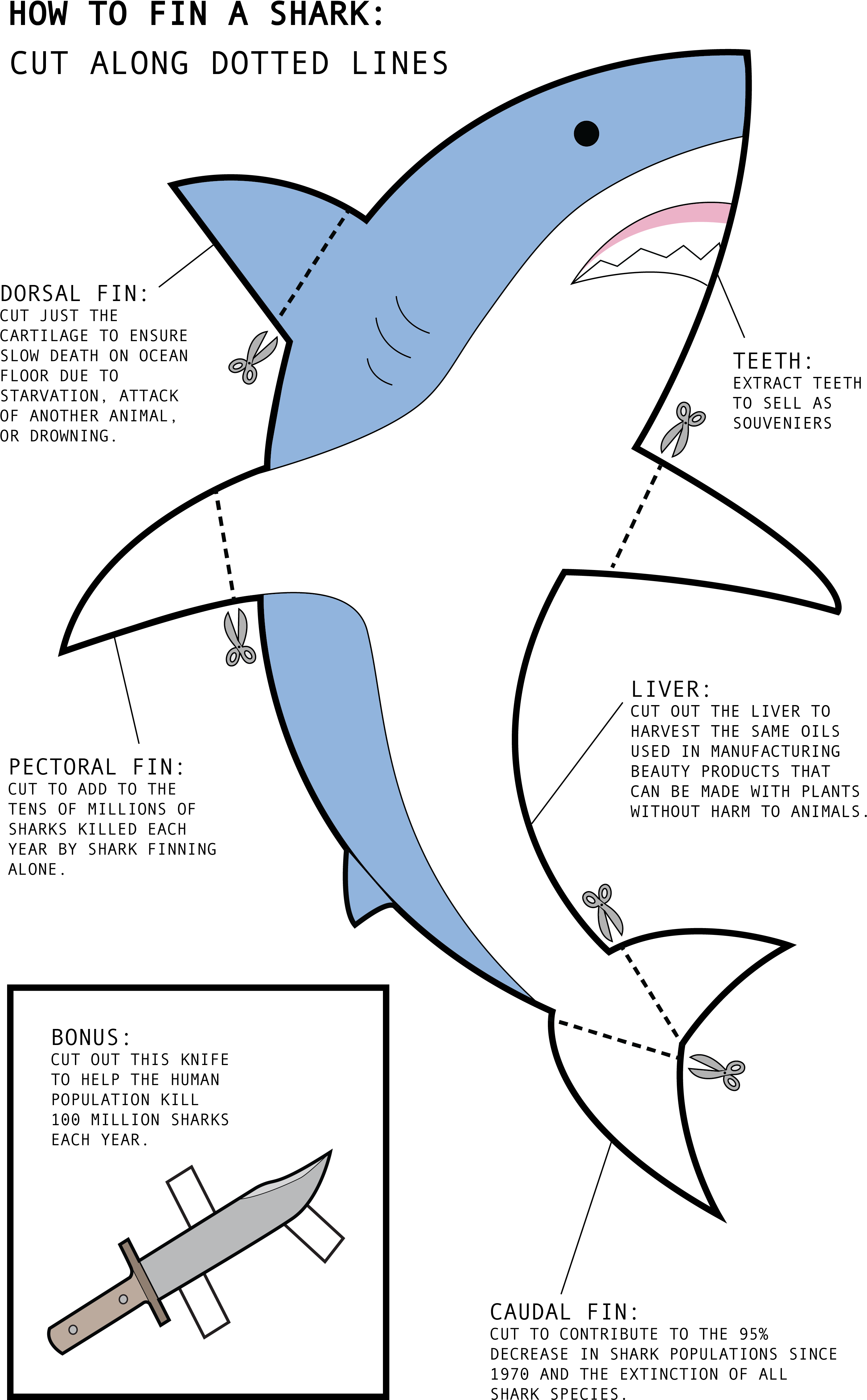 Great White Shark (3312x4565), Png Download