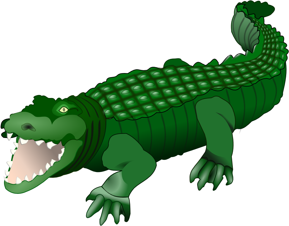 Alligator - Crocodile Clipart Png (800x600), Png Download