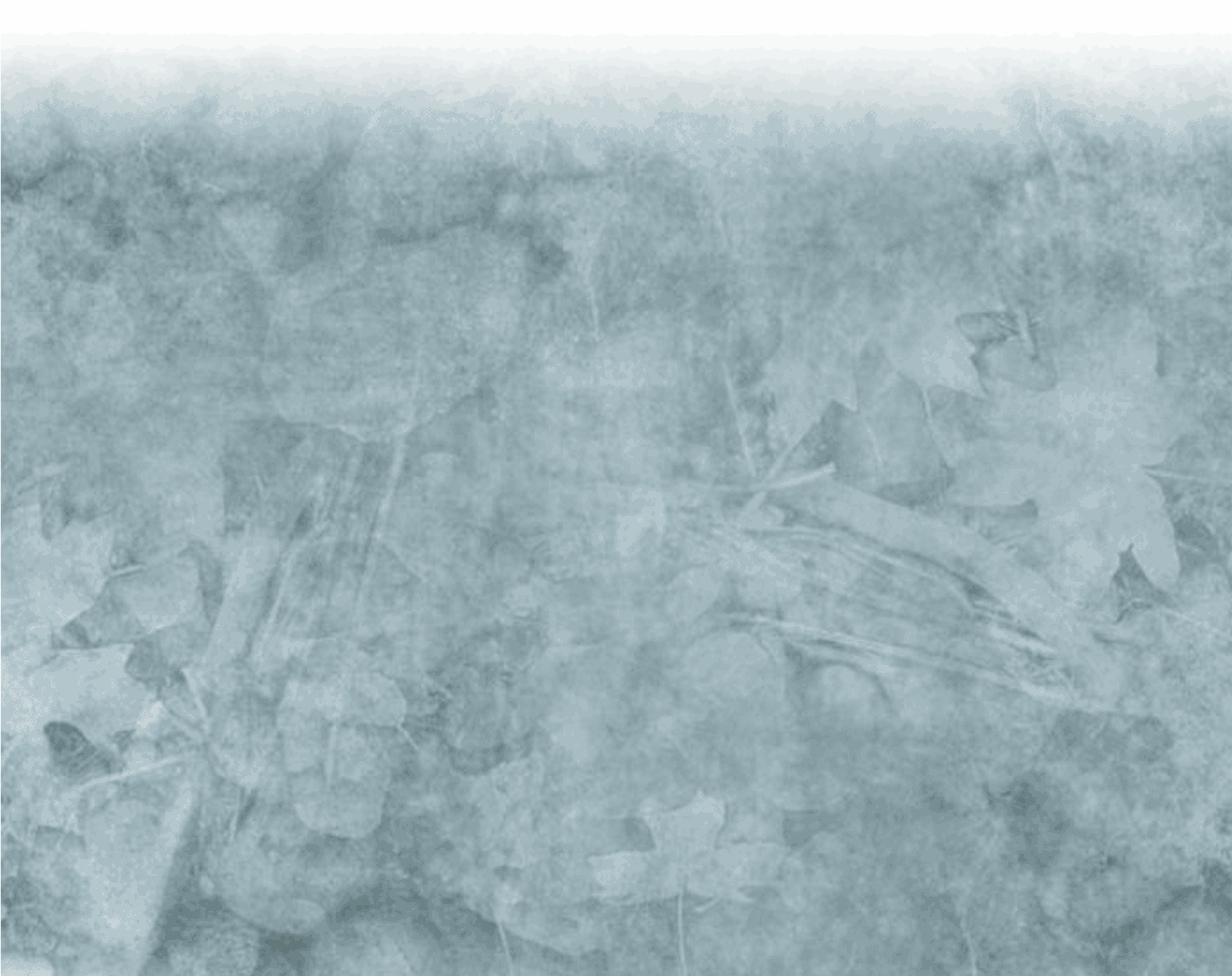 Aerial Photography (2000x1968), Png Download