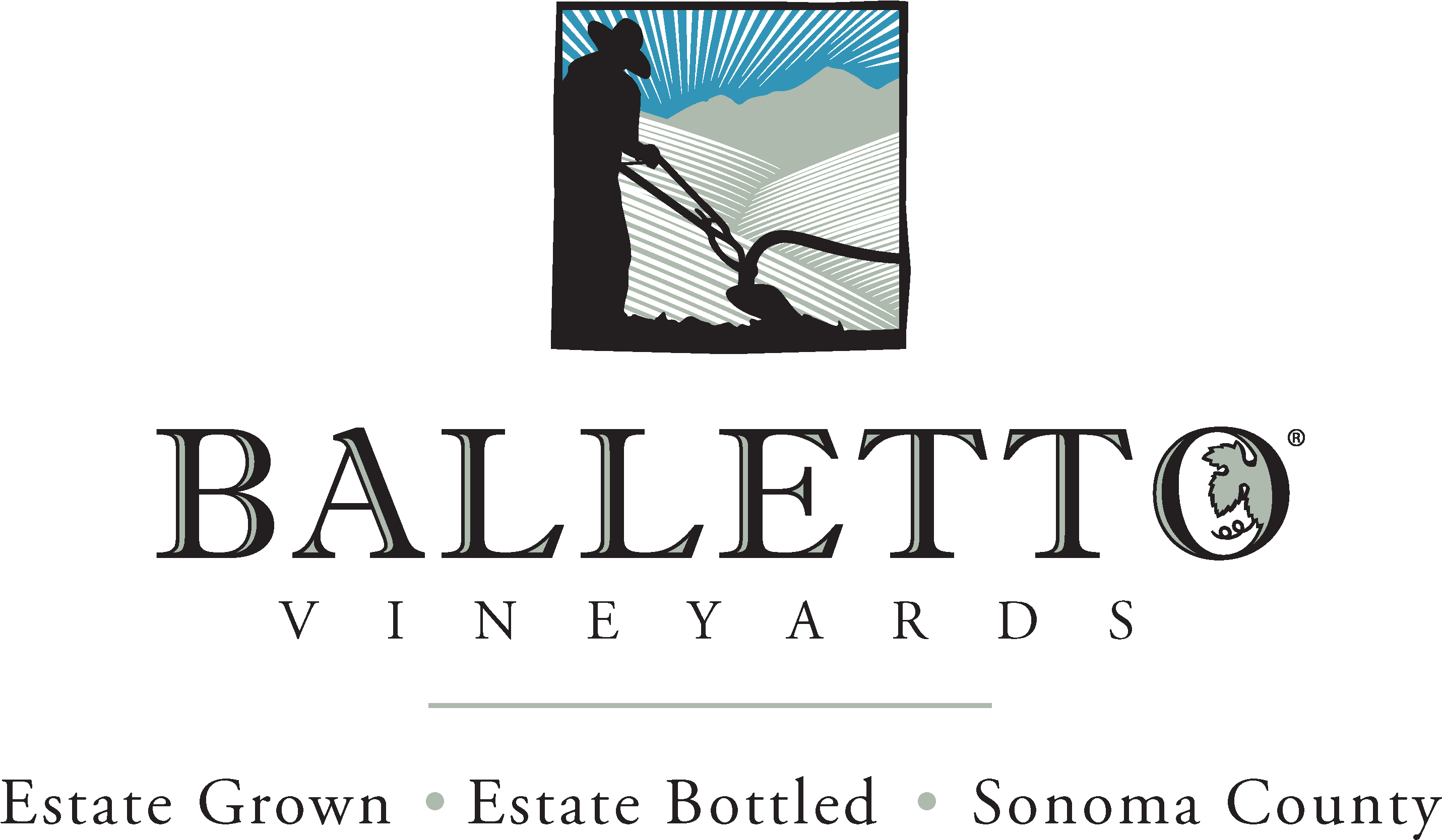 Transparent Background - Download - Png - Balletto Vineyards (3066x1705), Png Download