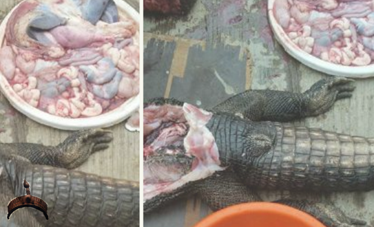 Lagos (543x330), Png Download