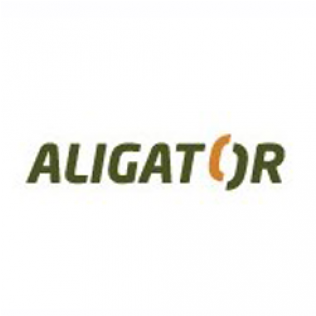 Aligator-600x315 - Shoe (600x315), Png Download