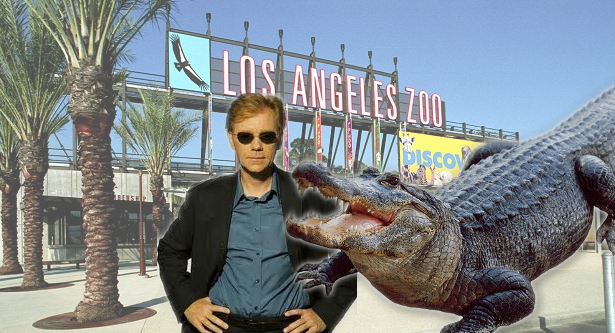 Los Angeles Zoo (615x333), Png Download