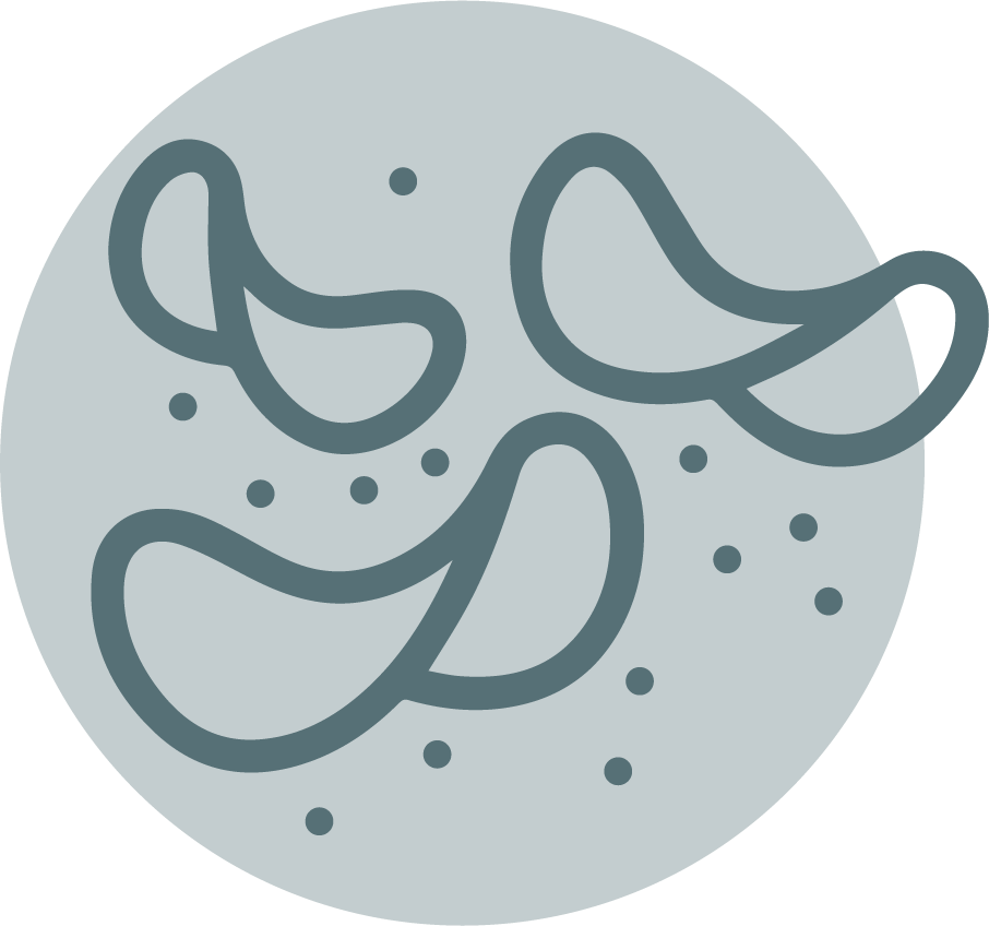 Chips Coupons - Circle (906x848), Png Download