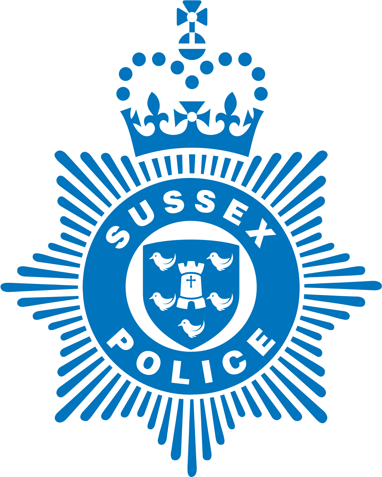 A Minicab Driver Who Lied About Speeding And Driving - South African Police Logo (1346x1677), Png Download