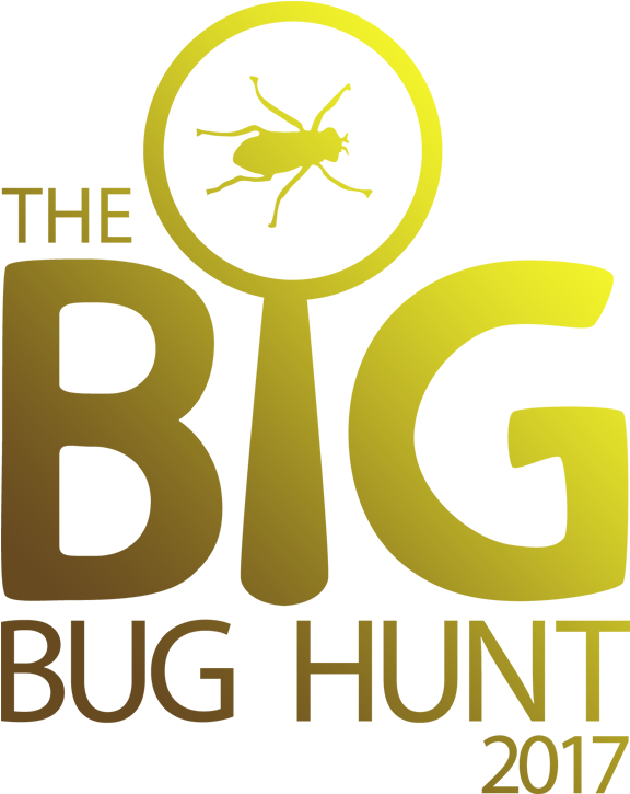 Flathead Farmworks - Bug Hunt (600x746), Png Download