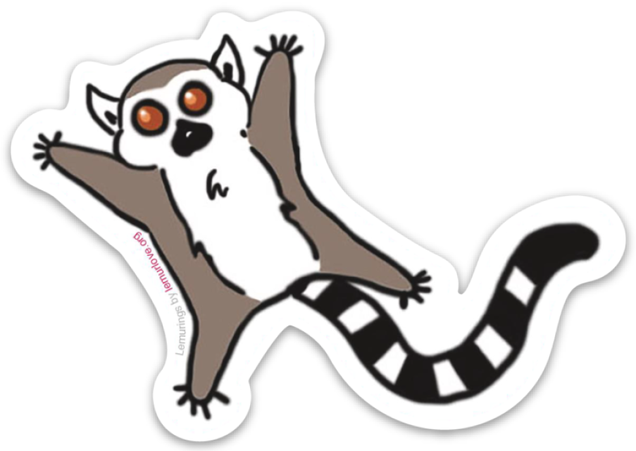 Lemurs (903x640), Png Download