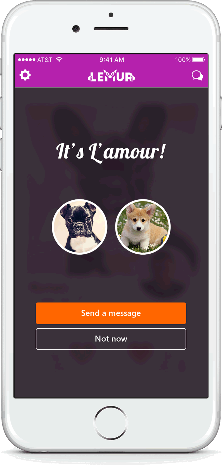 Lemur - Korgi (1134x2011), Png Download