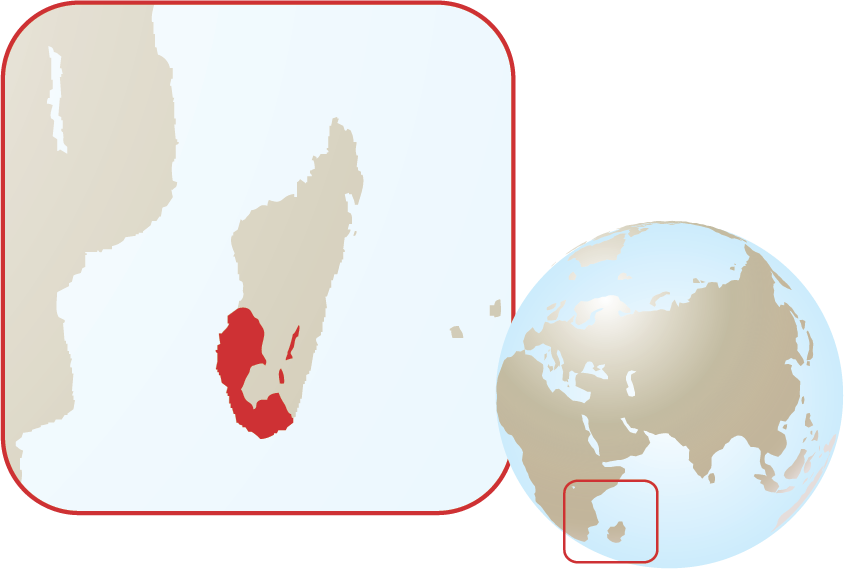 Ring-tailed Lemur - Distribution Map Of Black And White Ruffed Lemurs (844x569), Png Download