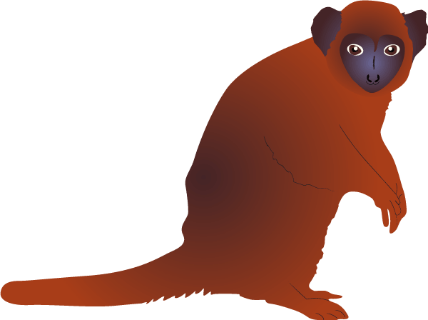 Bamboo Lemur (600x448), Png Download